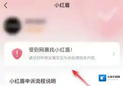 小红书如何申请网暴保护