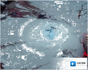 暖雪手游金甲虎卫怎么打 暖雪金甲虎卫打法攻略