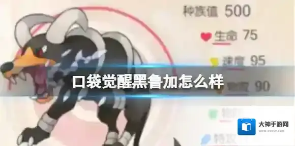 口袋觉醒黑鲁加怎么样 黑鲁加属性技能介绍分享