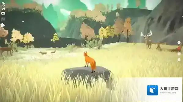 the first tree探索