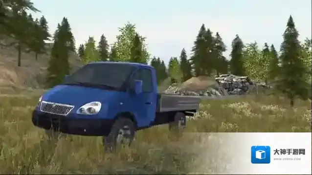 狂野的赛车性能