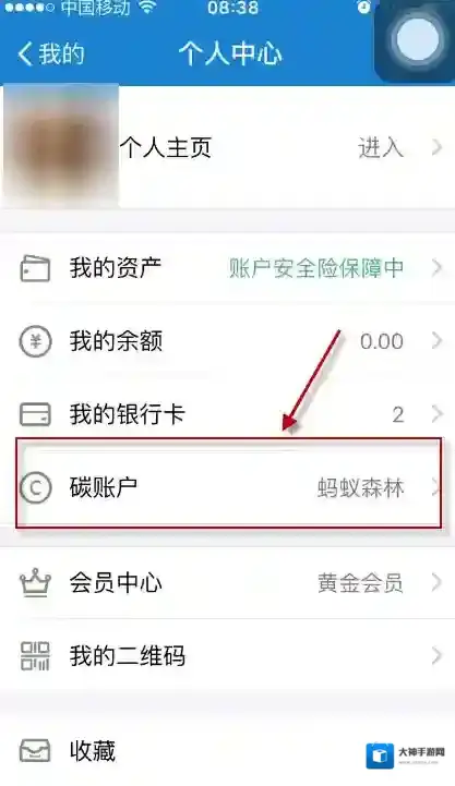 支付宝绿色能量