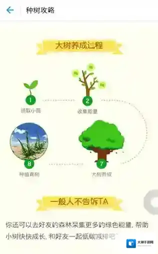 支付宝能量
