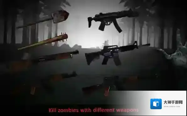 神秘的诅咒森林Misty Forest场景