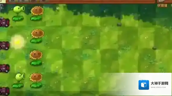 植物大战僵尸融合版种植