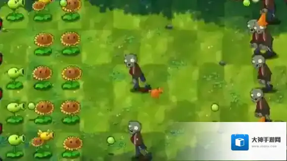 植物大战僵尸融合版坚果