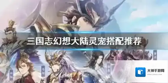 三国志幻想大陆玩家