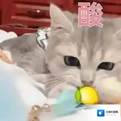 微博人类的本质