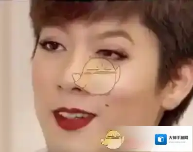 鲸落南北鲨掉东西出处含义介绍