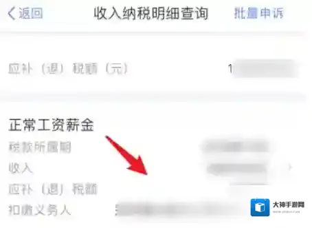 个人所得税查询
