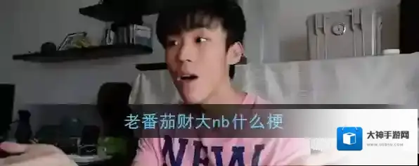 哔哩哔哩老番茄