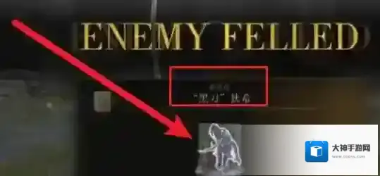 艾尔登法环骨灰