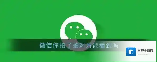 《微信》你拍了拍对方能看到吗