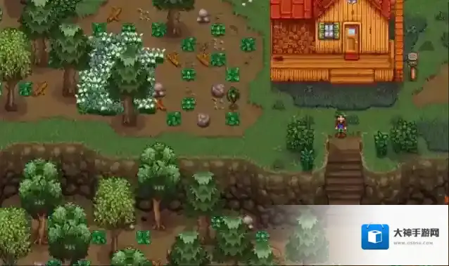 星露谷物语玩家