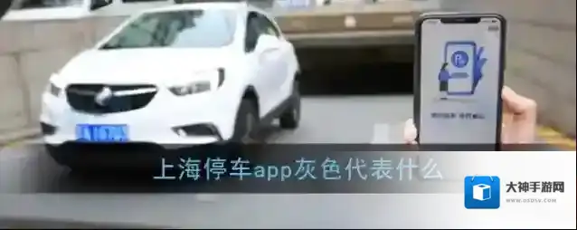 《上海停车》灰色标识含义介绍
