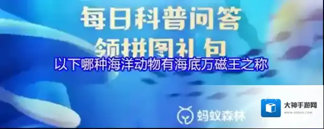 以下哪种海洋动物有海底万磁王之称