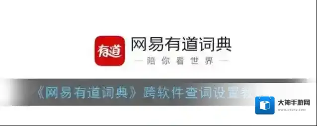 网易有道词典查词