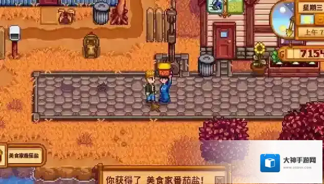 星露谷物语妻子