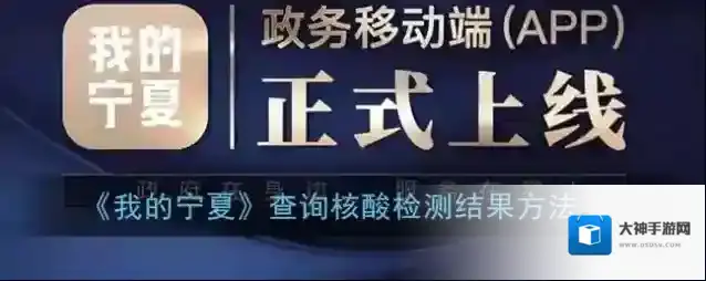 我的宁夏核酸检测