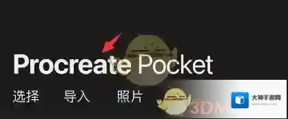 Procreate Pocket点击
