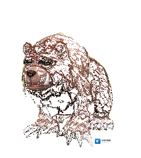 不休的乌拉拉红棕熊首领有哪些喜好 宠物技能属性数据图鉴