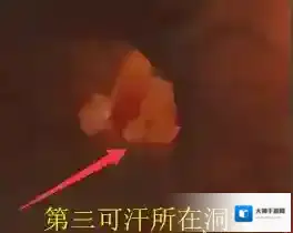 魔兽世界怀旧服紫色