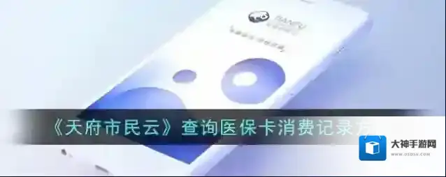 天府市民云消费记录