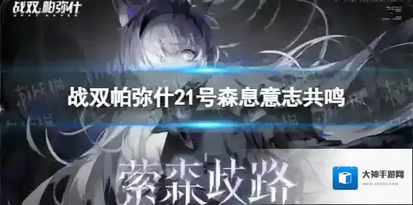 战双帕弥什森息