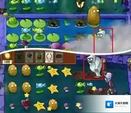 植物大战僵尸2植物大战僵尸