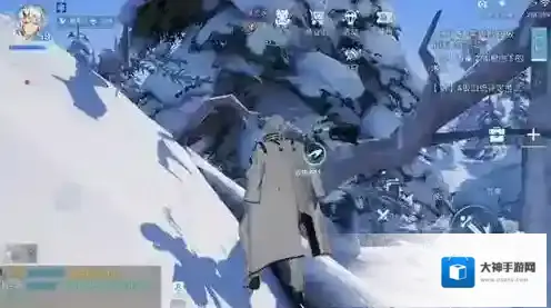 龙族幻想海地龙怎么进阶 宠物培养攻略