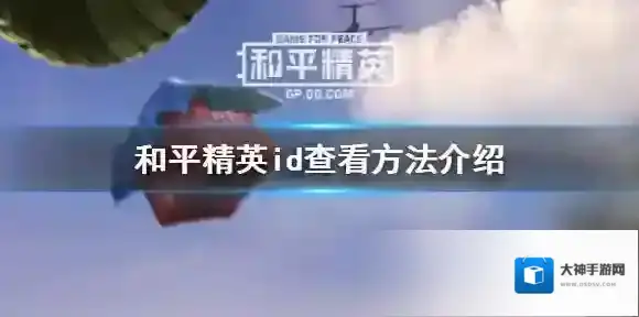 和平精英在哪里看