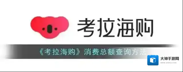 网易考拉海购考拉海购