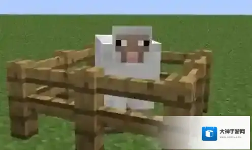我的世界怎么养动物 我的世界养动物方法攻略