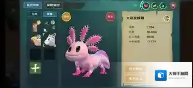 创造与魔法蝾螈怎么样