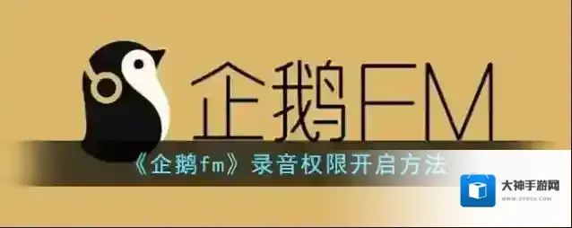 企鹅FM录音权限