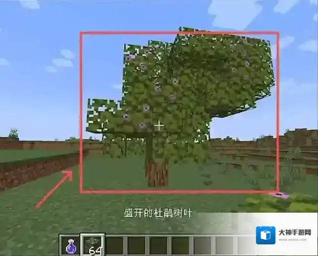 我的世界繁茂山洞在哪?我的世界繁茂山洞位置介绍