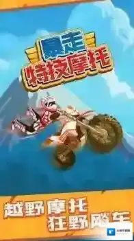 暴走特技摩托车特技