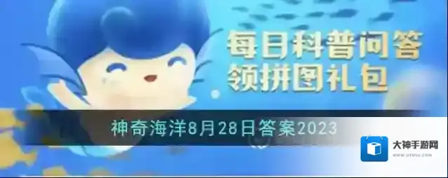 水母的共生伙伴是什么