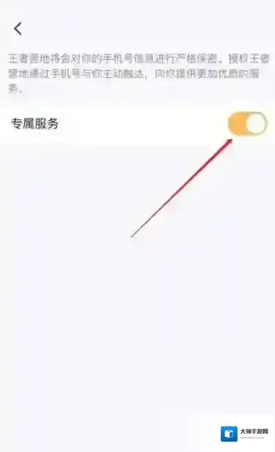 王者荣耀隐私设置