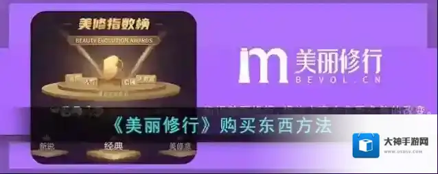 美丽修行东西