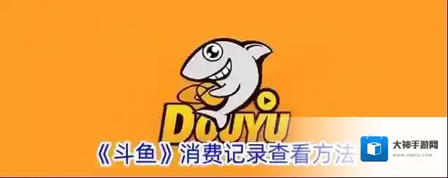 斗鱼消费记录