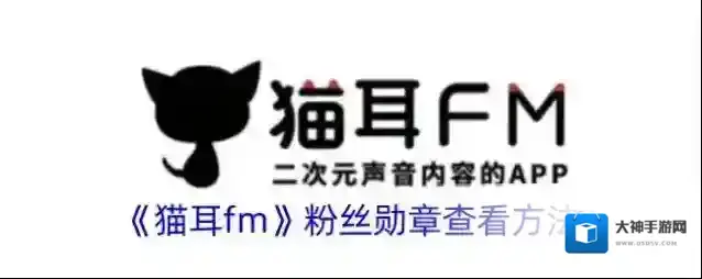 猫耳FM粉丝勋章
