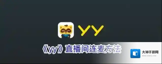 YY连麦