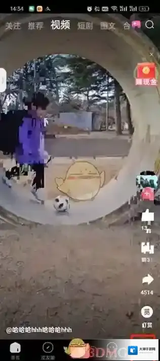 皮皮虾历史记录