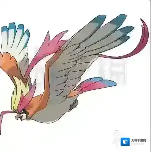 口袋妖怪究极日月大比鸟什么性格好 比比鸟性格及配招玩法推荐