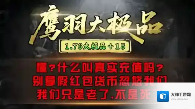 鹰羽76大极品金币