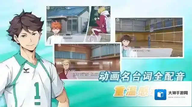 排球少年新的征程玩家