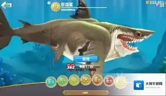 饥饿鲨:世界鲨鱼