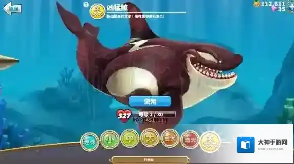 饥饿鲨:世界分类