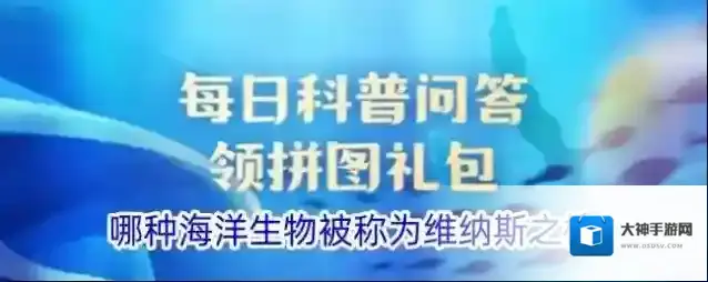 哪种海洋生物被称为维纳斯之梳